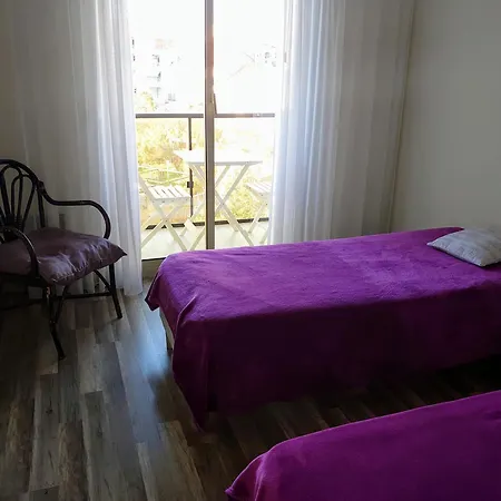 La Palme D Or * Saint-Raphaël